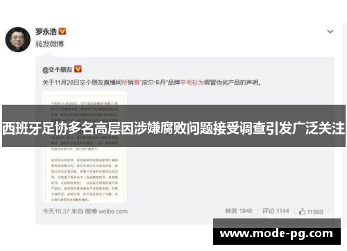 西班牙足协多名高层因涉嫌腐败问题接受调查引发广泛关注