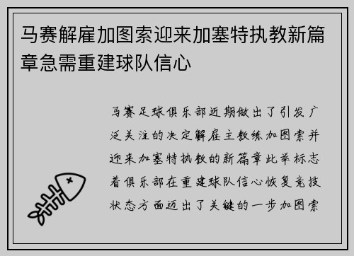 马赛解雇加图索迎来加塞特执教新篇章急需重建球队信心